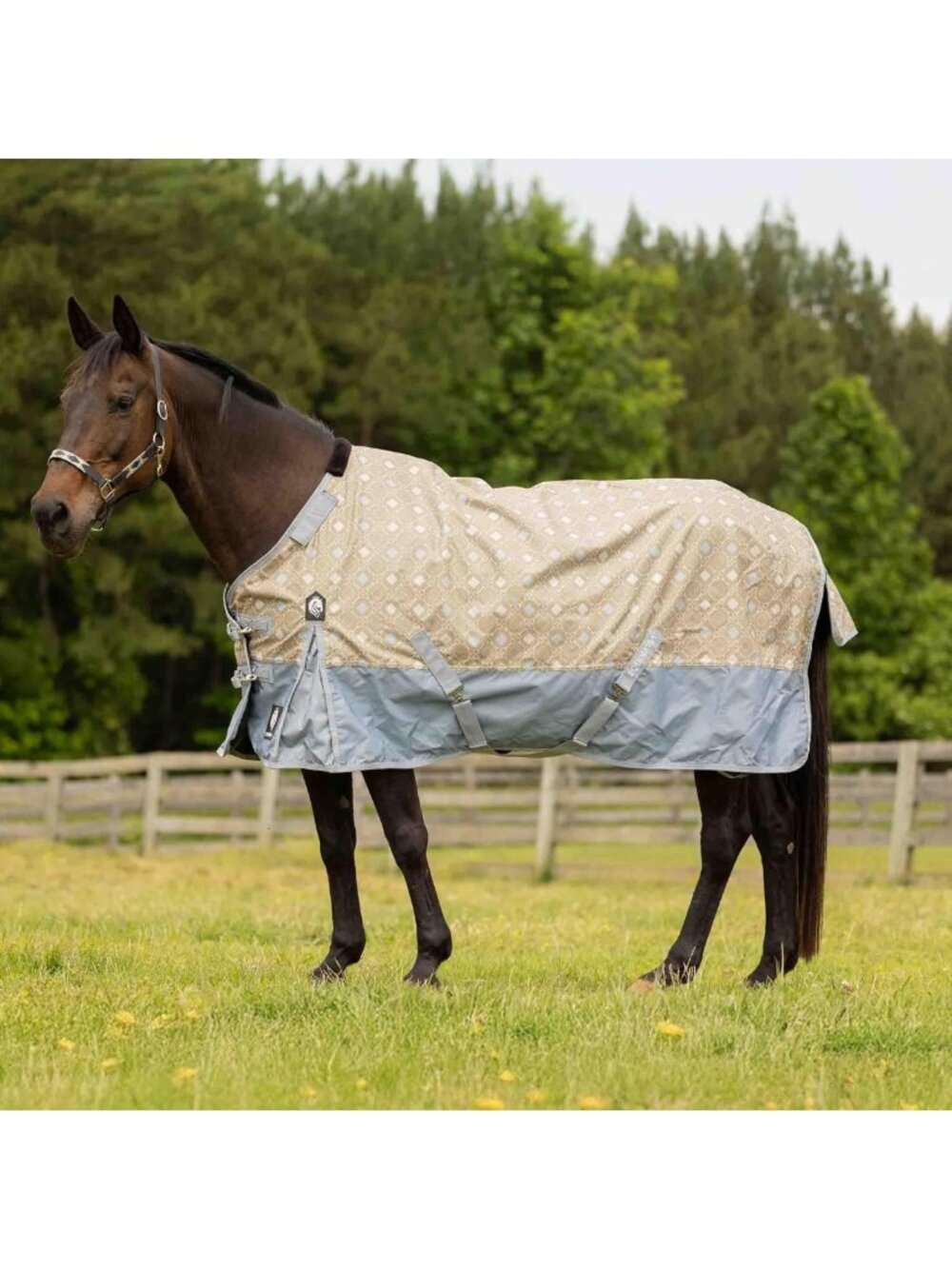 Lightweight Waterproof Turnout Blanket, 100g Rain Sheet for Horses, Durable